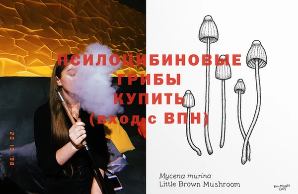 тгк Армянск