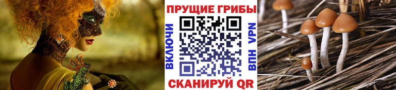 цены   Феодосия  Псилоцибиновые грибы ЛСД 